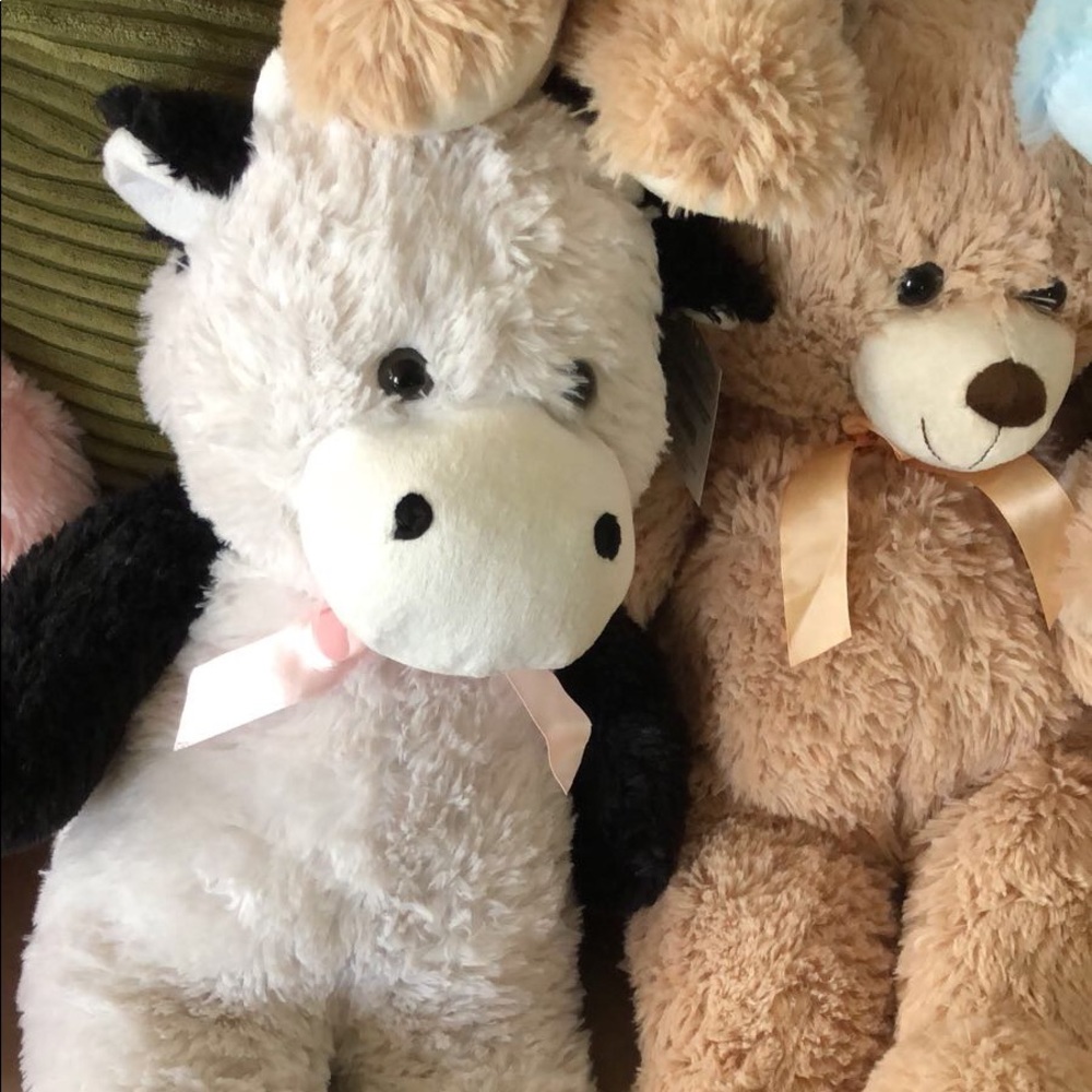 Meet your Posher, Eileen